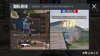 和平精英爆料素材视频,揭秘神秘游戏内容，精彩预告即将揭晓！