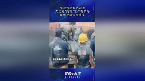 缅北事实爆料是真的吗视频,真相与谎言的交织 第3张 缅北事实爆料是真的吗视频,真相与谎言的交织 第3张